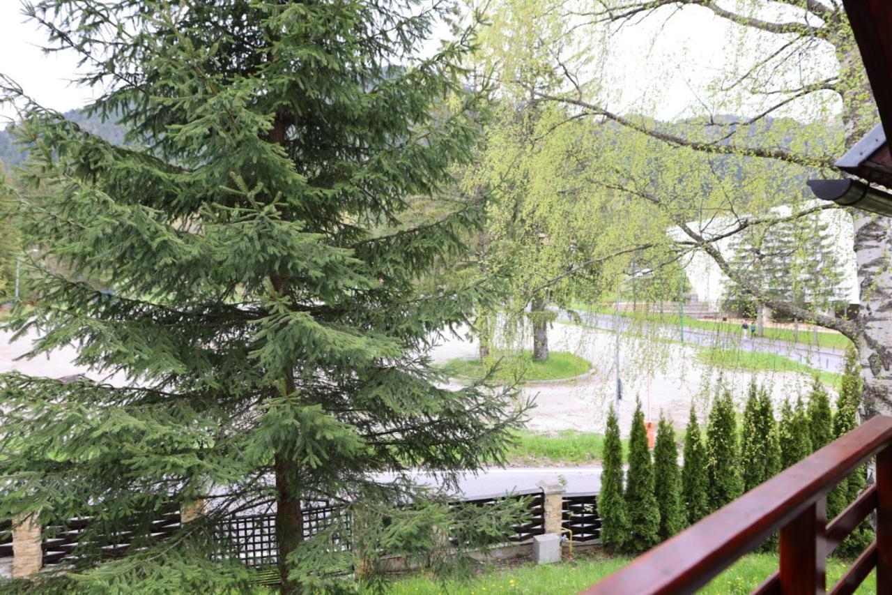 Vila Pinul Si Mesteacanul Poiana Brasov Luaran gambar