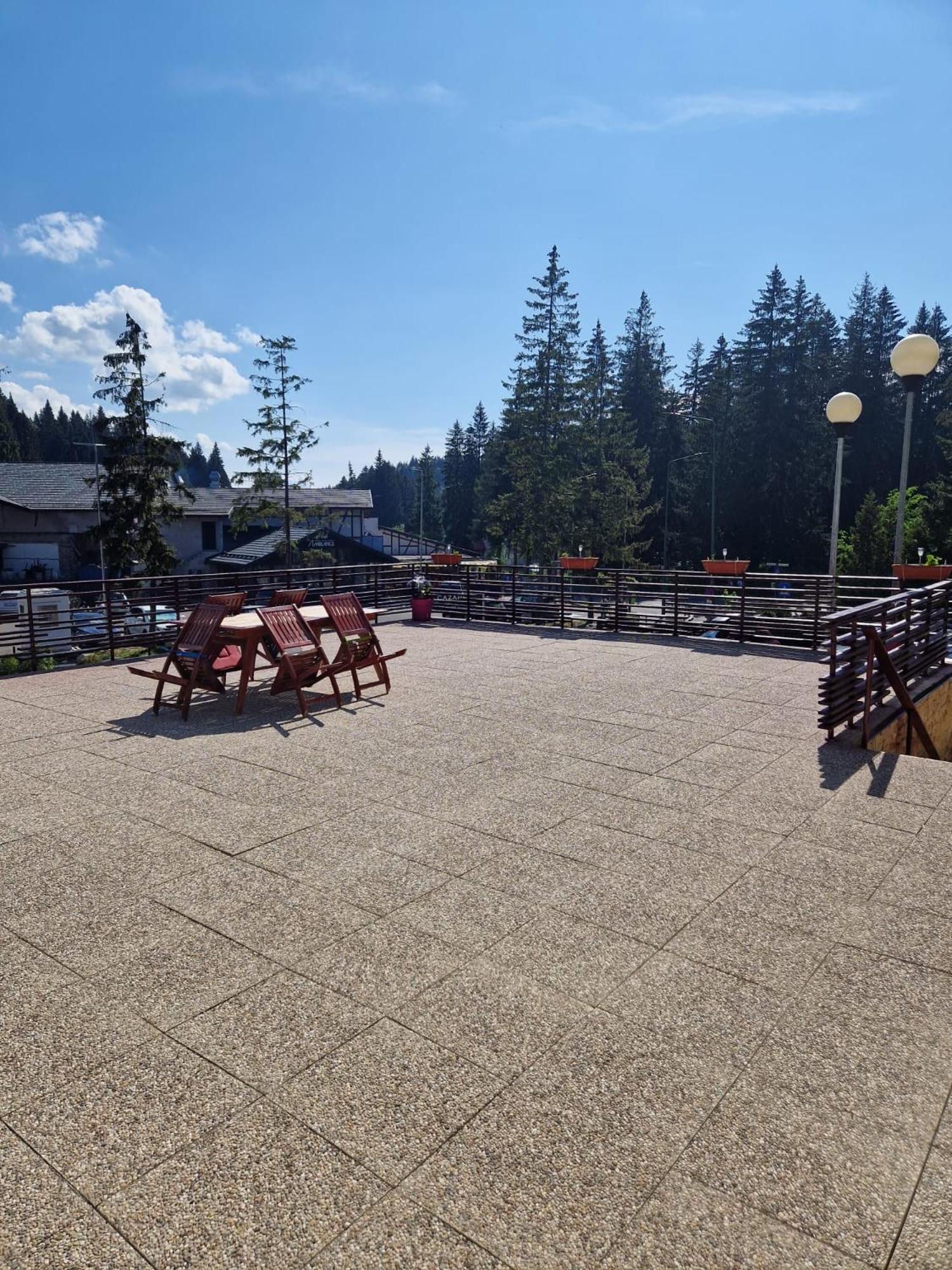 Vila Pinul Si Mesteacanul Poiana Brasov Luaran gambar