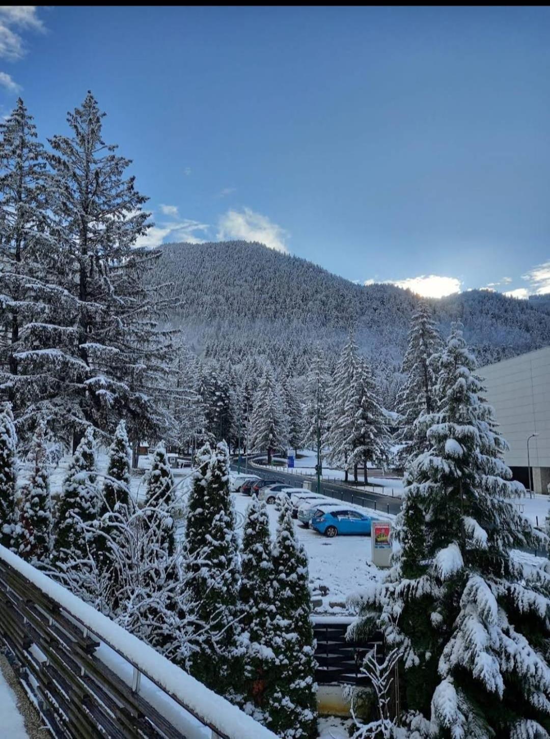 Vila Pinul Si Mesteacanul Poiana Brasov Luaran gambar