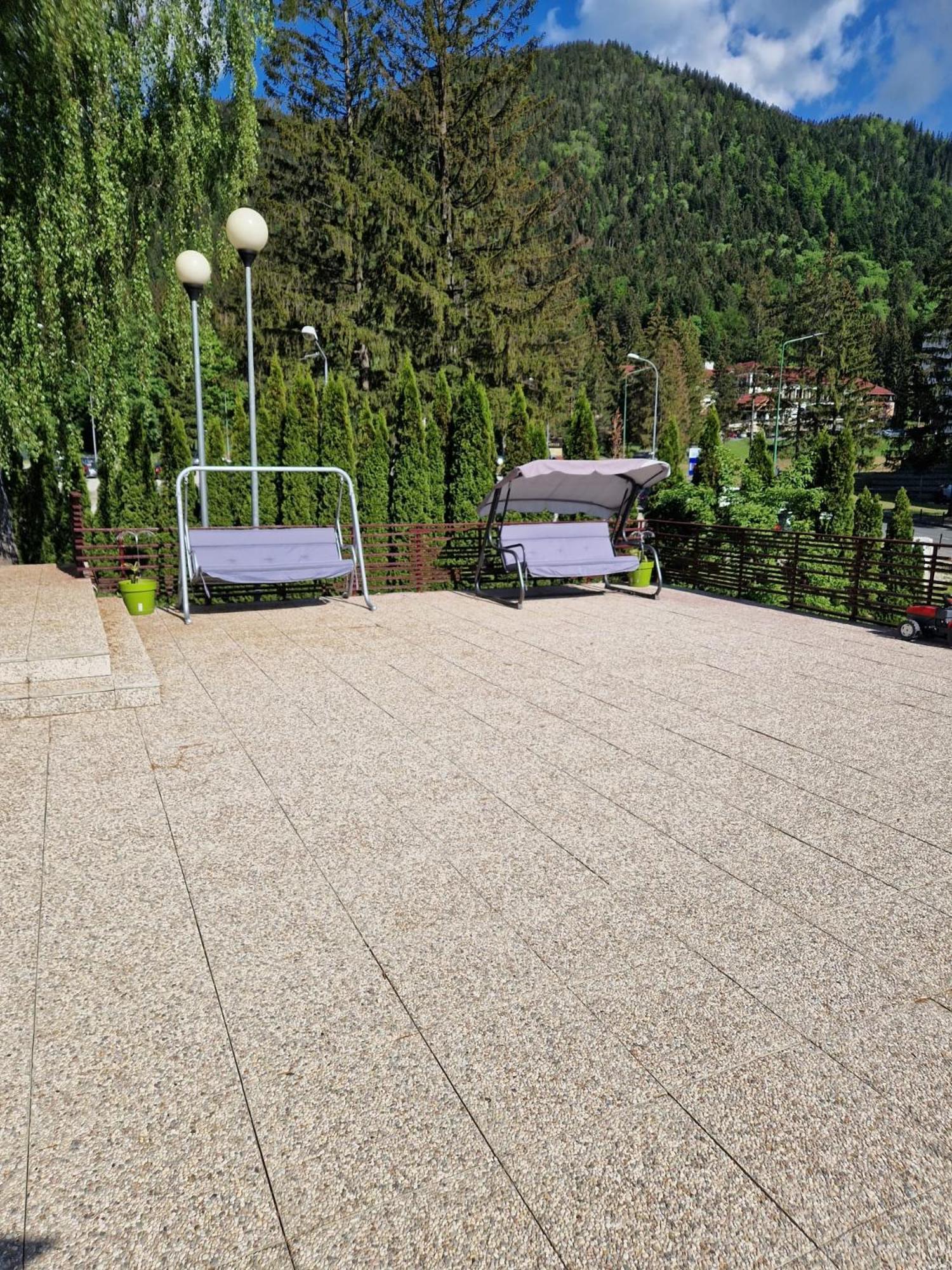 Vila Pinul Si Mesteacanul Poiana Brasov Luaran gambar