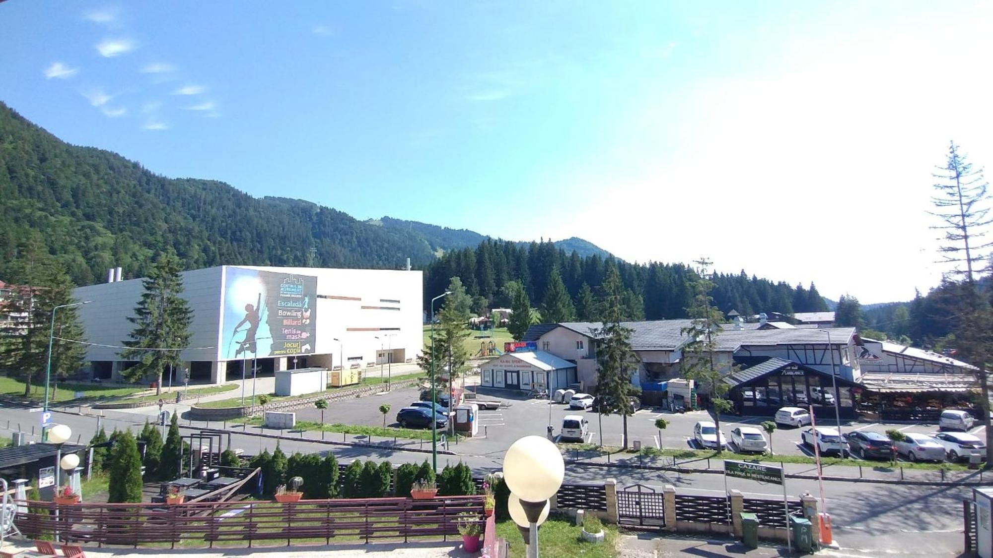 Vila Pinul Si Mesteacanul Poiana Brasov Luaran gambar